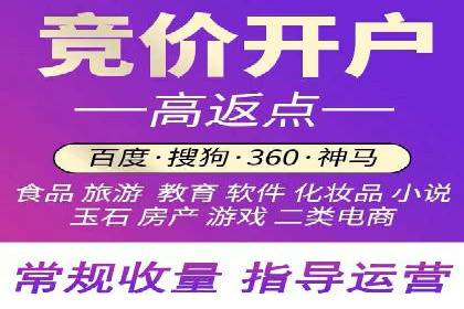 竞价广告案例分析：品牌成功之道